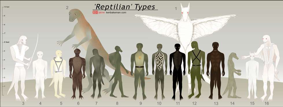 reptilian.types.jpg