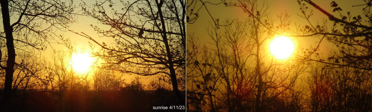 sun4.11.23.jpg