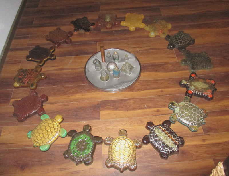 turtle-coven.jpg